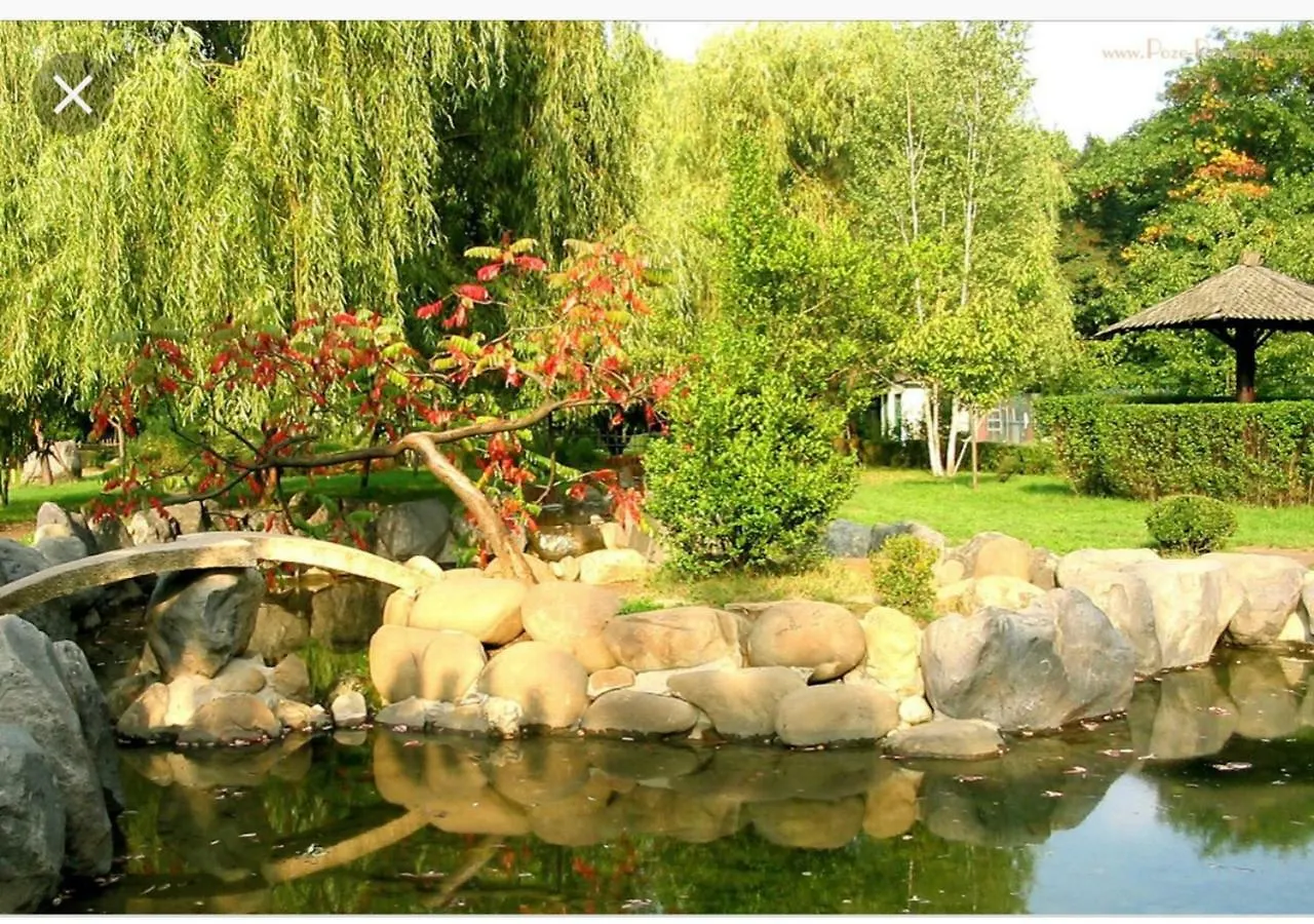 Herastrau Park Deluxe Apartment French Town Bükreş